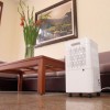 Máy hút ẩm dân dụng FujiE HM-912EC