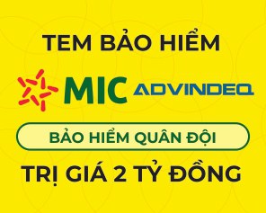 Bảo hiểm thang nhôm advindeq